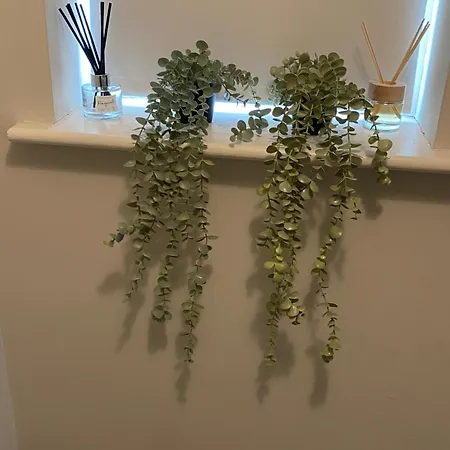 Extra Large In New House At Citywest