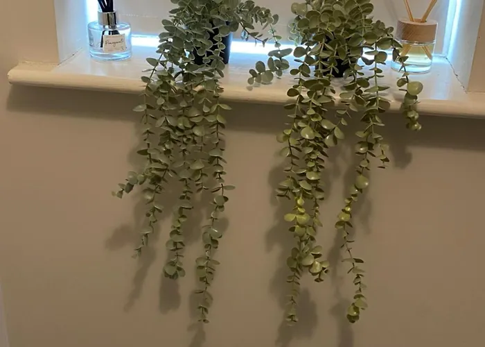 Extra Large In New House At Citywest